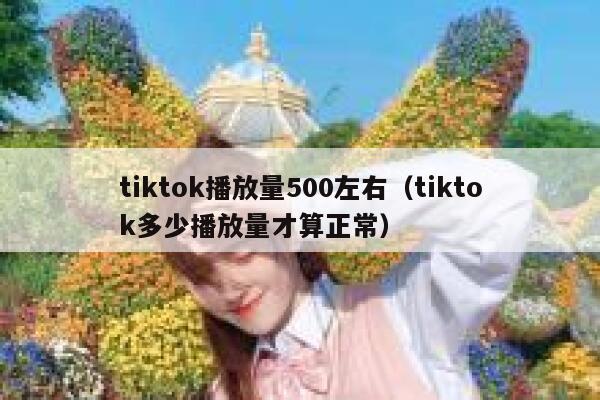 tiktok播放量500左右（tiktok多少播放量才算正常） 第1张
