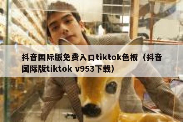 抖音国际版免费入口tiktok色板（抖音国际版tiktok v953下载） 第1张