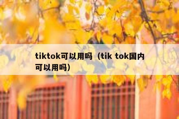 tiktok可以用吗（tik tok国内可以用吗） 第1张
