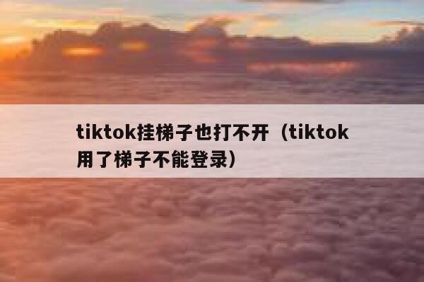tiktok挂梯子也打不开（tiktok用了梯子不能登录） 第1张