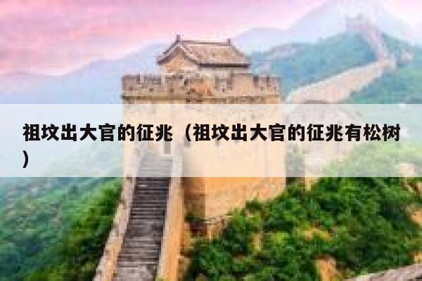 祖坟出大官的征兆（祖坟出大官的征兆有松树） 第1张