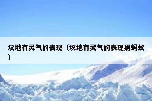 坟地有灵气的表现（坟地有灵气的表现黑蚂蚁） 第1张