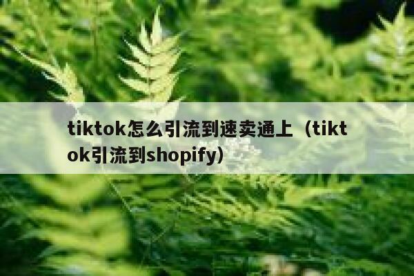 tiktok怎么引流到速卖通上(tiktok引流到shopify) 第1张 tiktok怎么引流到速卖通上(tiktok引流到shopify) 第1张