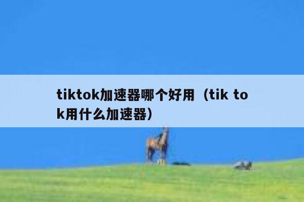 tiktok加速器哪个好用（tik tok用什么加速器） 第1张
