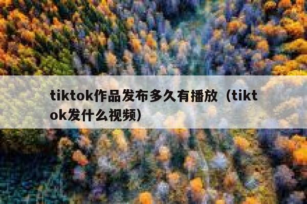 tiktok作品发布多久有播放（tiktok发什么视频） 第1张