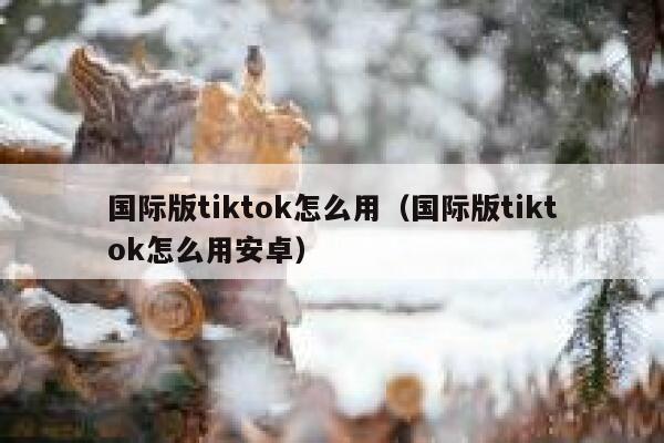 国际版tiktok怎么用（国际版tiktok怎么用安卓） 第1张