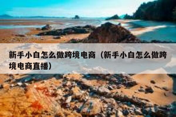 新手小白怎么做跨境电商（新手小白怎么做跨境电商直播） 第1张