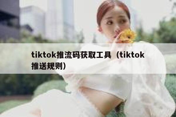 tiktok推流码获取工具（tiktok推送规则） 第1张