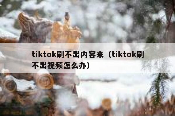 tiktok刷不出内容来（tiktok刷不出视频怎么办） 第1张