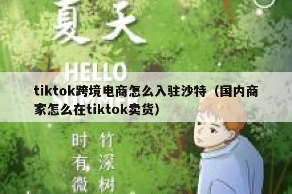 tiktok跨境电商怎么入驻沙特（国内商家怎么在tiktok卖货） 第1张