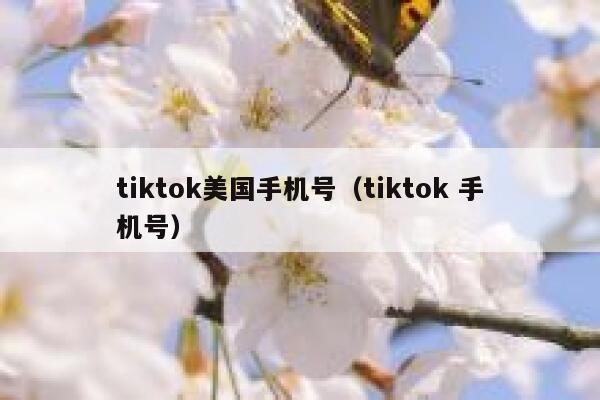 tiktok美国手机号（tiktok 手机号） 第1张