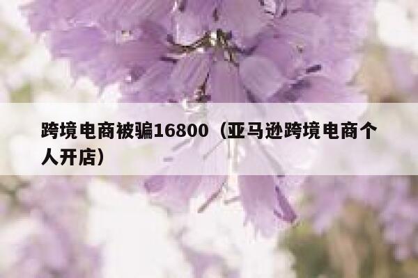 跨境电商被骗16800（亚马逊跨境电商个人开店） 第1张