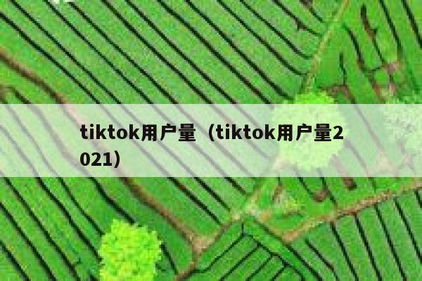 tiktok用户量（tiktok用户量2021） 第1张
