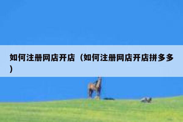 如何注册网店开店(如何注册网店开店拼多多) 第1张 如何注册网店开店(如何注册网店开店拼多多) 第1张