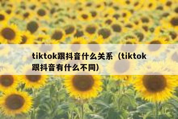 tiktok跟抖音什么关系（tiktok跟抖音有什么不同） 第1张