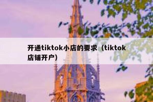 开通tiktok小店的要求（tiktok店铺开户） 第1张