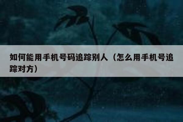 如何能用手机号码追踪别人（怎么用手机号追踪对方） 第1张