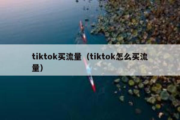 tiktok买流量（tiktok怎么买流量） 第1张