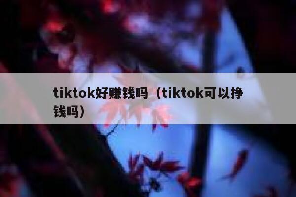 tiktok好赚钱吗（tiktok可以挣钱吗） 第1张