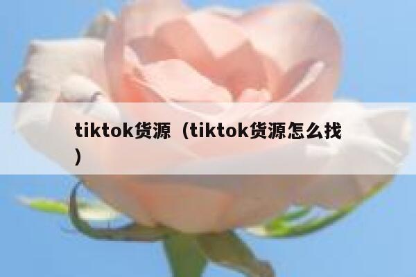 tiktok货源（tiktok货源怎么找） 第1张