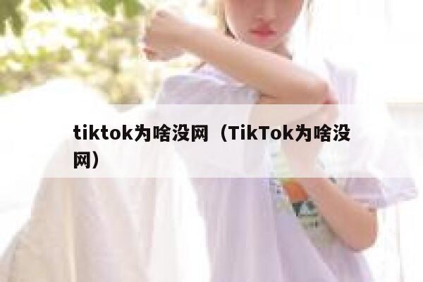 tiktok为啥没网（TikTok为啥没网） 第1张