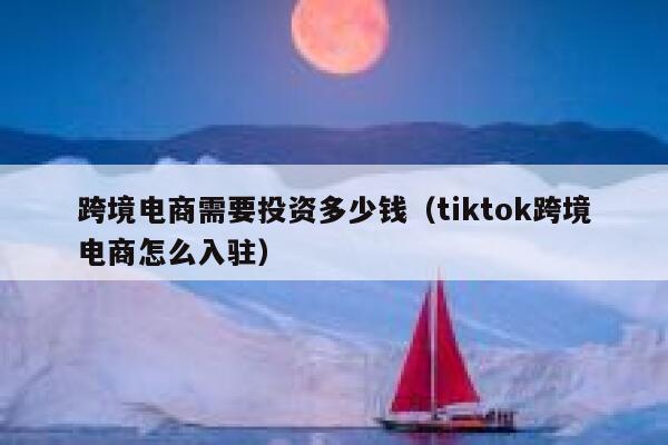 跨境电商需要投资多少钱（tiktok跨境电商怎么入驻） 第1张