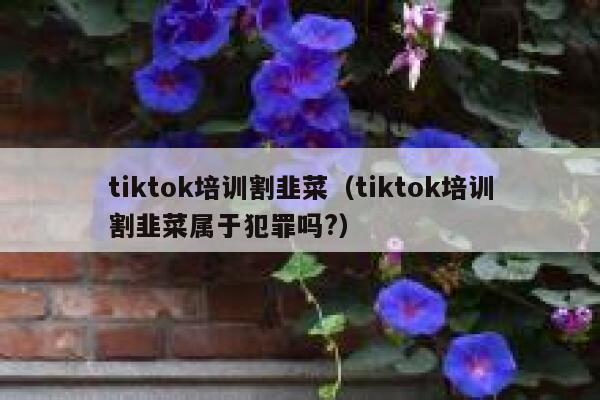 tiktok培训割韭菜（tiktok培训割韭菜属于犯罪吗?） 第1张