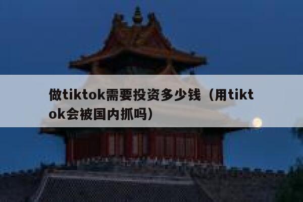 做tiktok需要投资多少钱（用tiktok会被国内抓吗） 第1张