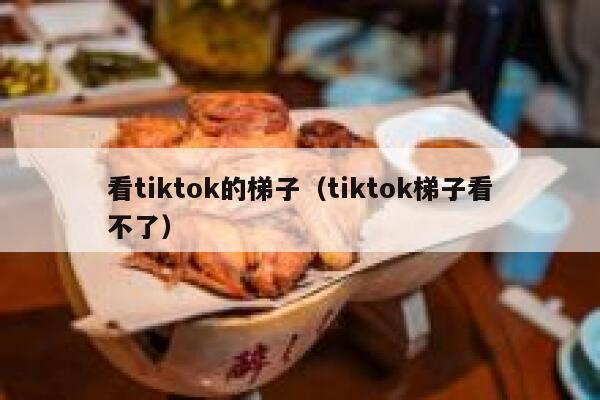 看tiktok的梯子（tiktok梯子看不了） 第1张