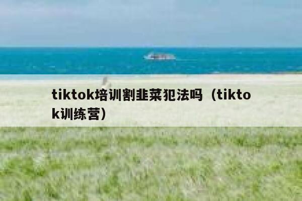 tiktok培训割韭菜犯法吗(tiktok训练营) 第1张 tiktok培训割韭菜犯法吗(tiktok训练营) 第1张