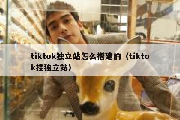 tiktok独立站怎么搭建的（tiktok挂独立站） 第1张