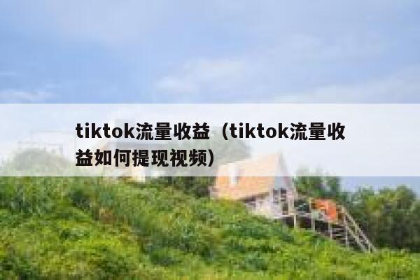 tiktok流量收益(tiktok流量收益如何提现视频) 第1张 tiktok流量收益(tiktok流量收益如何提现视频) 第1张