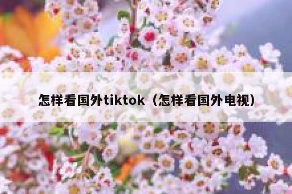 怎样看国外tiktok(怎样看国外电视) 第1张 怎样看国外tiktok(怎样看国外电视) 第1张
