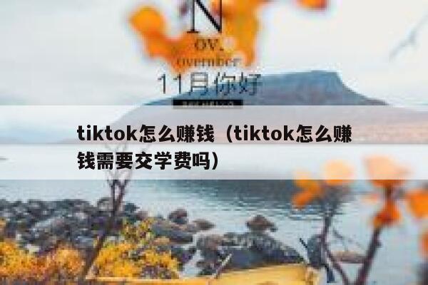 tiktok怎么赚钱（tiktok怎么赚钱需要交学费吗） 第1张