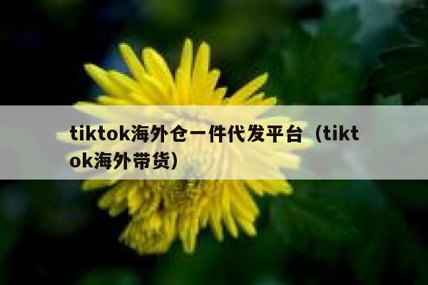tiktok海外仓一件代发平台(tiktok海外带货) 第1张 tiktok海外仓一件代发平台(tiktok海外带货) 第1张