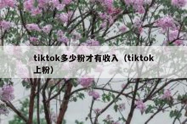tiktok多少粉才有收入(tiktok上粉) 第1张 tiktok多少粉才有收入(tiktok上粉) 第1张