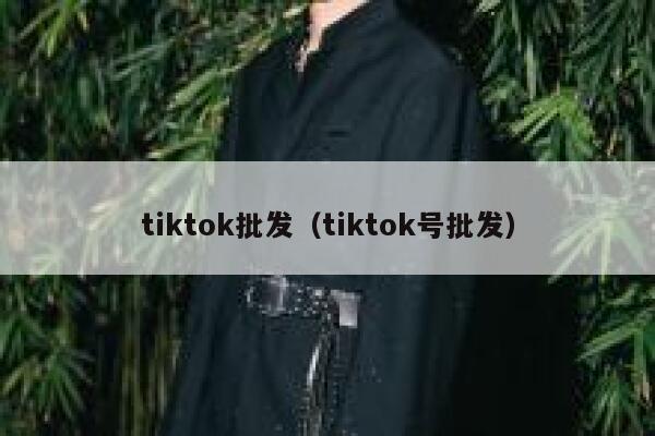 tiktok批发（tiktok号批发） 第1张
