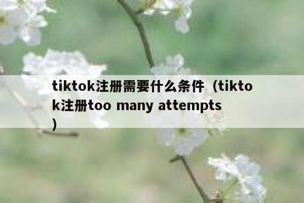 tiktok注册需要什么条件（tiktok注册too many attempts） 第1张