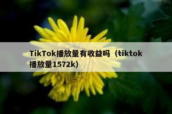 TikTok播放量有收益吗（tiktok播放量1572k） 第1张