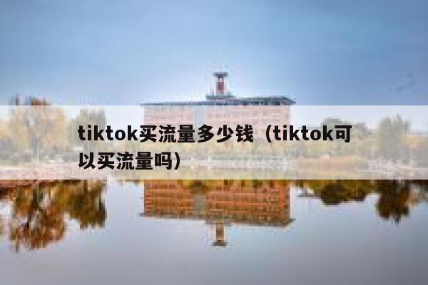tiktok买流量多少钱（tiktok可以买流量吗） 第1张