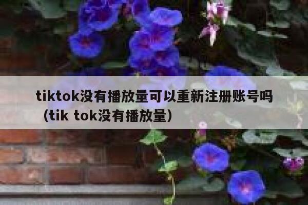 tiktok没有播放量可以重新注册账号吗（tik tok没有播放量） 第1张