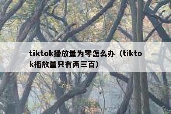 tiktok播放量为零怎么办（tiktok播放量只有两三百） 第1张