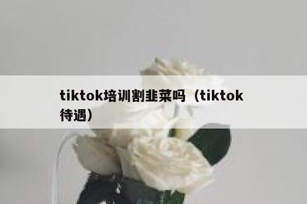 tiktok培训割韭菜吗(tiktok 待遇) 第1张 tiktok培训割韭菜吗(tiktok 待遇) 第1张