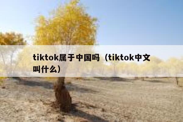 tiktok属于中国吗（tiktok中文叫什么） 第1张