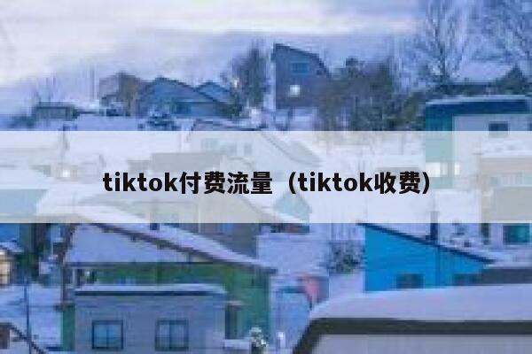 tiktok付费流量（tiktok收费） 第1张