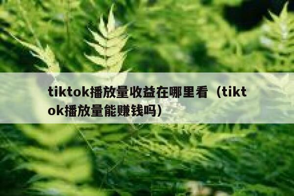 tiktok播放量收益在哪里看(tiktok播放量能赚钱吗) 第1张 tiktok播放量收益在哪里看(tiktok播放量能赚钱吗) 第1张