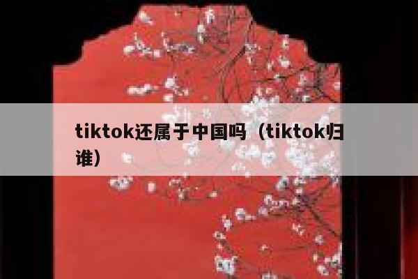 tiktok还属于中国吗（tiktok归谁） 第1张