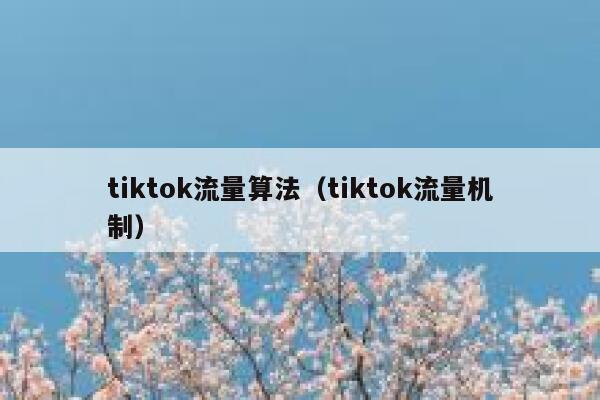 tiktok流量算法(tiktok流量机制) 第1张 tiktok流量算法(tiktok流量机制) 第1张