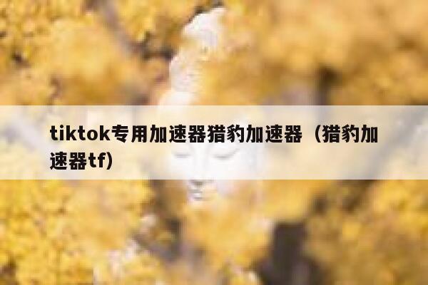 tiktok专用加速器猎豹加速器（猎豹加速器tf） 第1张