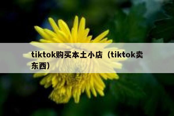 tiktok购买本土小店（tiktok卖东西） 第1张